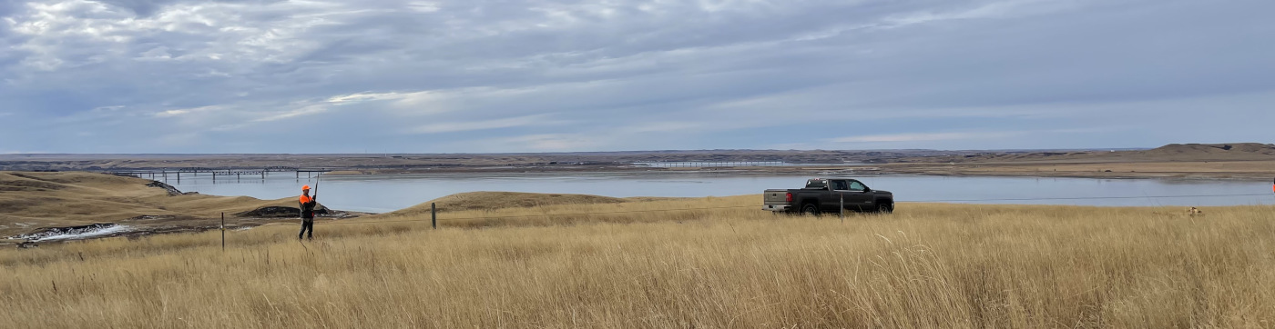 Pheasant Cove - Lake Oahe
